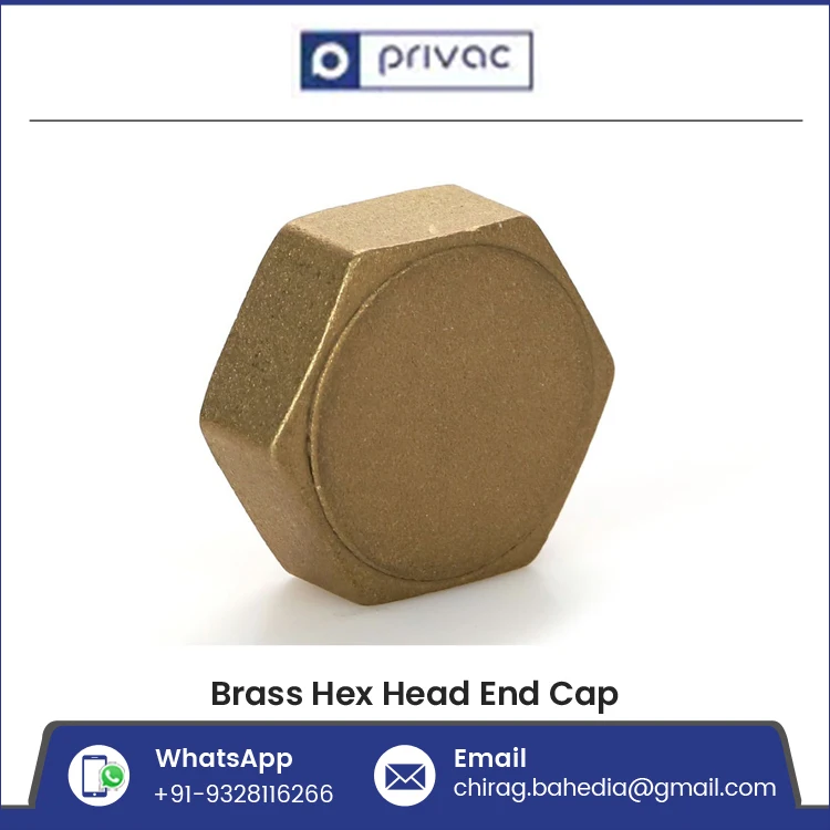 Best Price Female Threads Pipe End Cap Brass Hex Head End Stop Fitting for Air Gas Water Pipe Line
