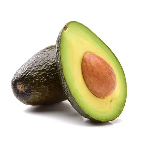 FRESH AVOCADO/ HASS AVOCADO FROM VIETNAM / TOP QUALITY 034 AVOCADO