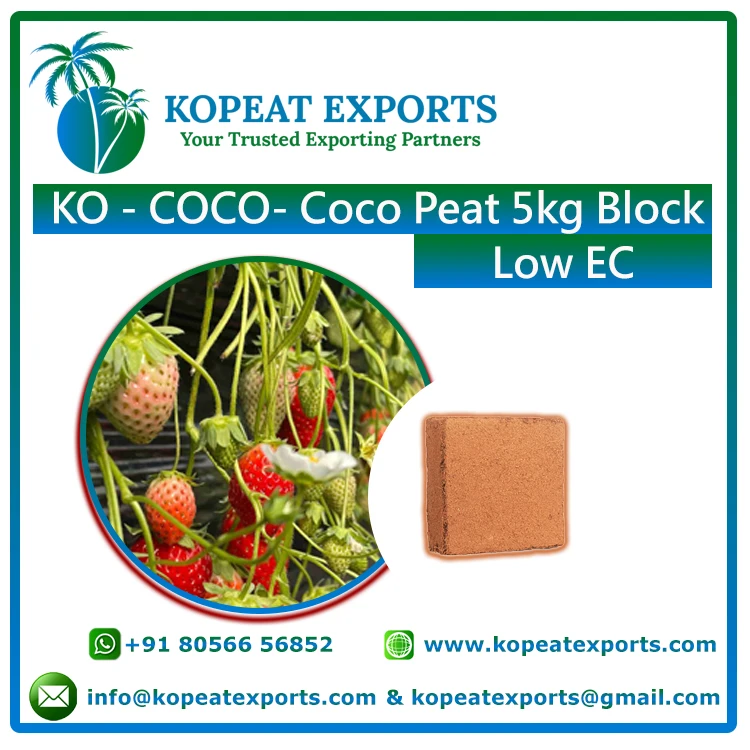Биоразлагаемый блок CocoCoir Cocopeat для выращивания черники экспорт крупными партиями 5 кг теплица в сельском