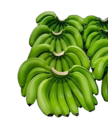 New Wholesale Sweet Banana Bananas are a healthy source of fiber potassium vitamin B6 vitamin C and various OEM Service