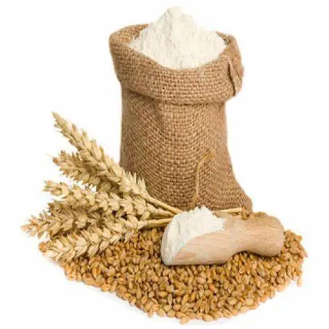 Hot Sales 100% Pure Wheat Semolina Flour Best Supplier 25kg 50 Kg Buckwheat Flour Halal Certified Farm-Fresh Corn Durum Bulk