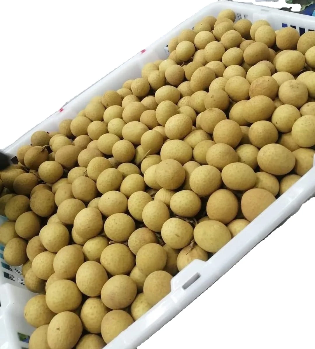 Fresh Longan Tropical Fruit Premium Quality Control With  GMP Manufacturing Other Agriculture Products From Orchard Thailand