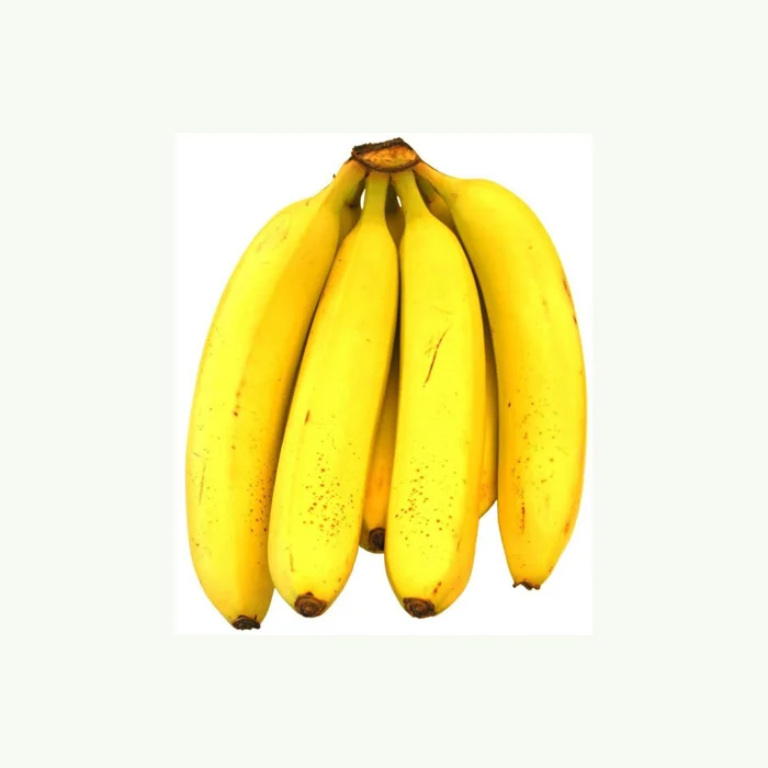 Best Quality And Lowest Price Of Fresh Lady Finger Bananas With Delicious Taste