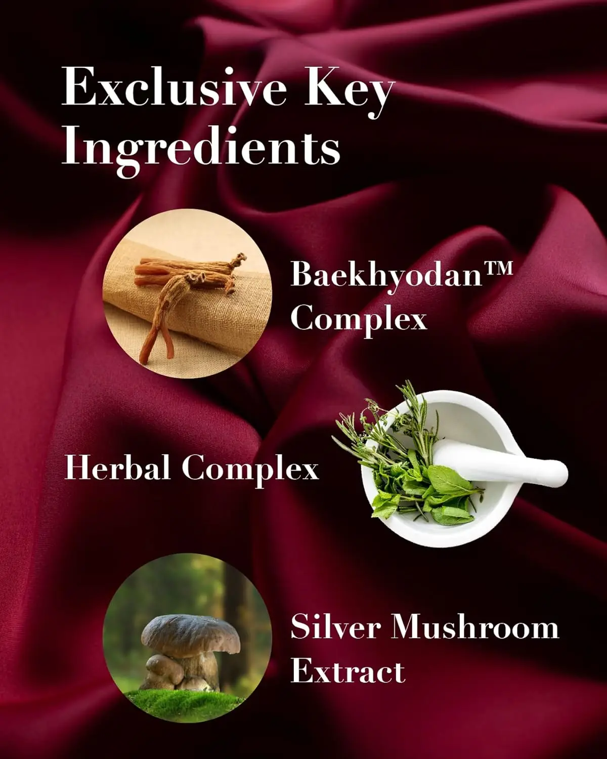 Sooryehan Hyobidam Fermented Skincare Gift Set Premium Korean Skin Care for Intense Hydration, Elasticity. Ginseng, Snow Fungus