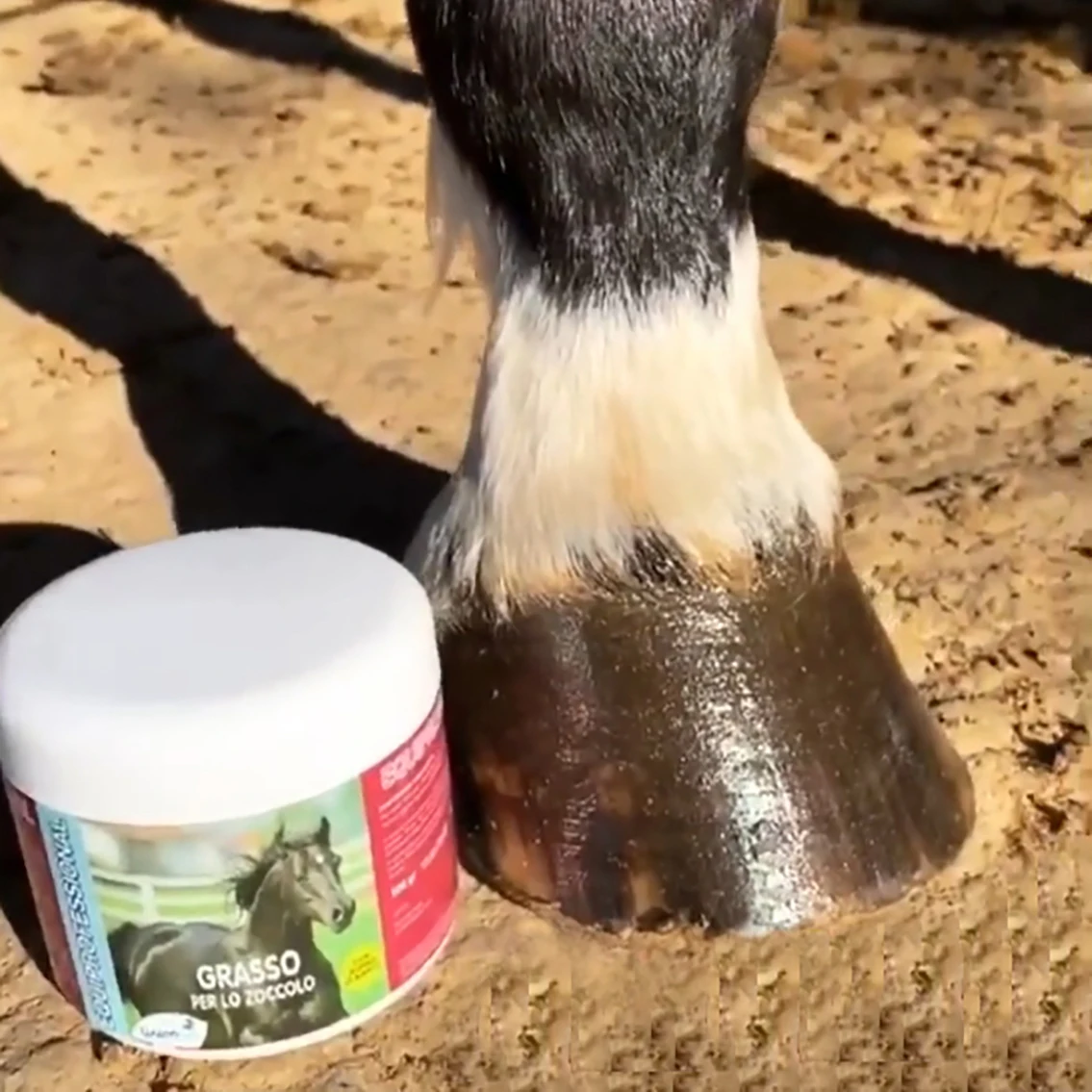 Top quality made in Italy plant based formulation EQUIPROFESSIONAL natural grease for the hoof horses