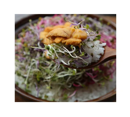 Корейская еда, натуральная морская Икра урчина, суши, водоросли, ресторанная рисовая лапша, свежая паста, омказа, лучшие ингредиенты для готовки, морепродукты