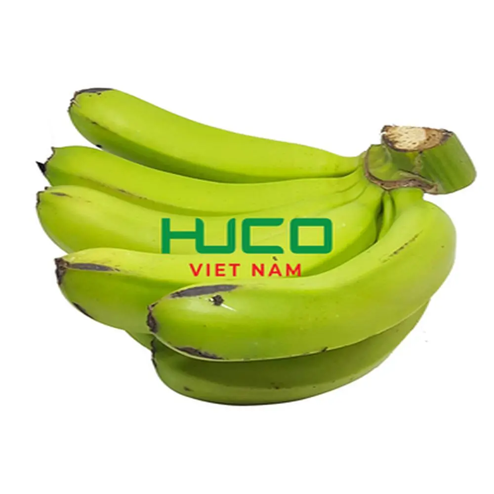 Best Price Tropical Banana Organic from Vietnam Fresh Natural Banana