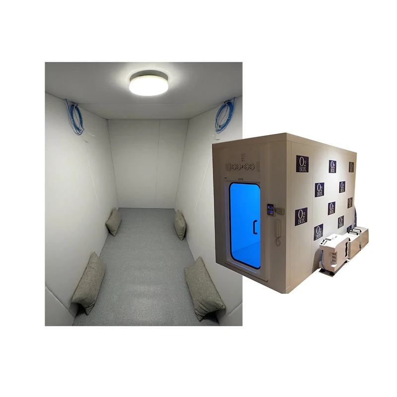 Premium Grade 1.3 ATA Hyperbaric Oxygen Box Type C Treatment Option for Individuals and Medical Conditions