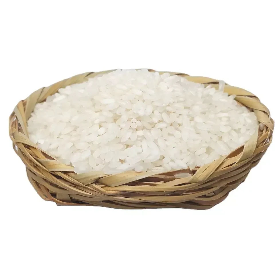 Graded Basmati Rice & Non-Basmati Leading Exporter From Pakistan Stock Available