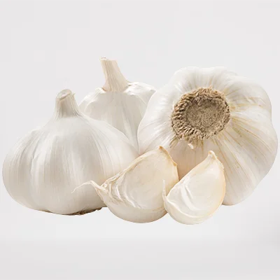 dry white garlic