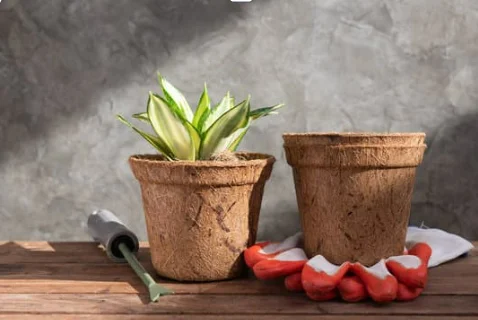 VIETNAM HOME GARDENING ORIGINAL COCO PRODUCT COCONUT FIBER POT FOR GARDEN FLOWERS GROWING PLANT HIGH 11.5cm x WIDE 12cm 2024