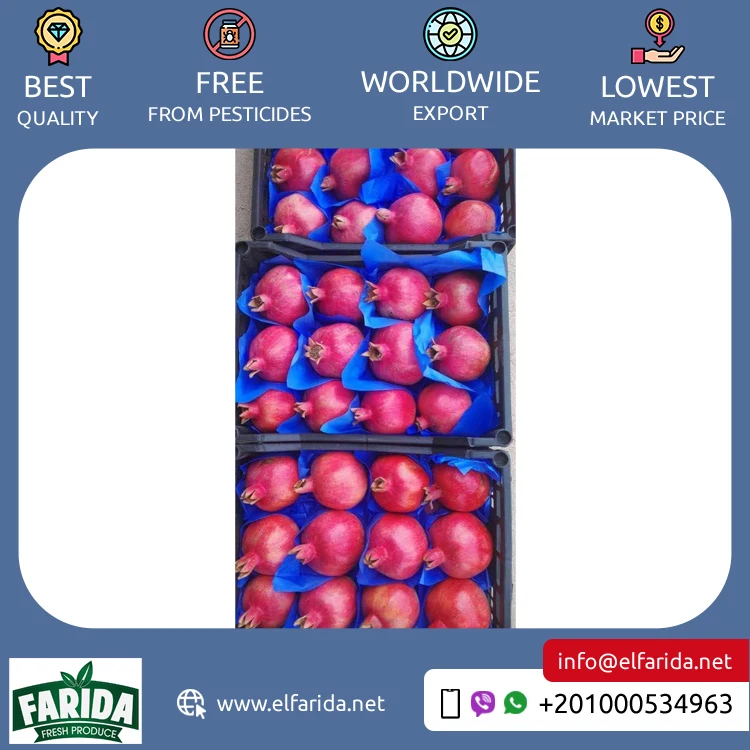Premium Quality Hot Selling 100% Natural Sweet and Delicious Taste Red Fresh Fruit Pomegranate from Egypt at Low Price