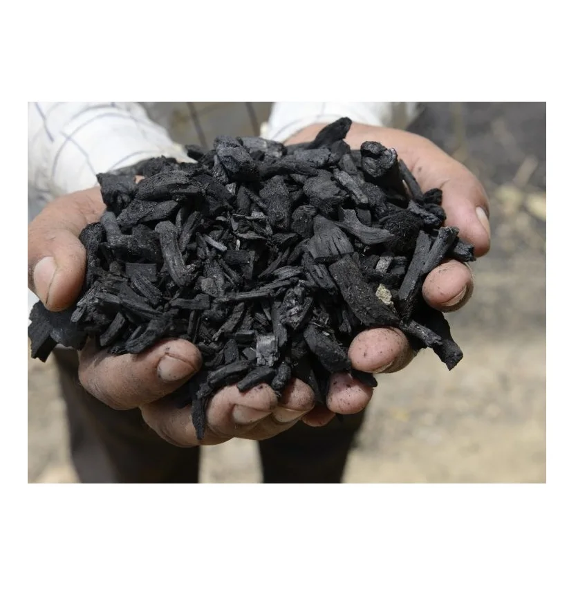 Charcoal Factory Supply High Quality Wooden And Coal Based Columnar Pellet Activated Carbon Charcoal