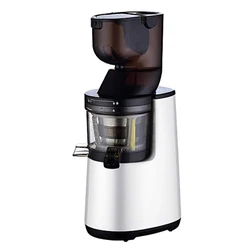 Wholesale price portable carrot 4 in 1 juicer fresh juicers pure automatic angel stainless steel juicers