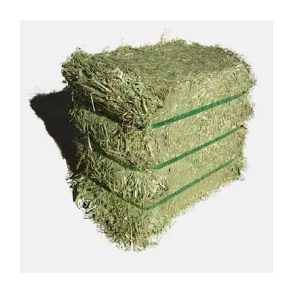 Alfafa Hay Animal Feeding Stuff Alfalfa, hay/alfalfa hay pellets Timothy Hay/ Alfafa in Bales