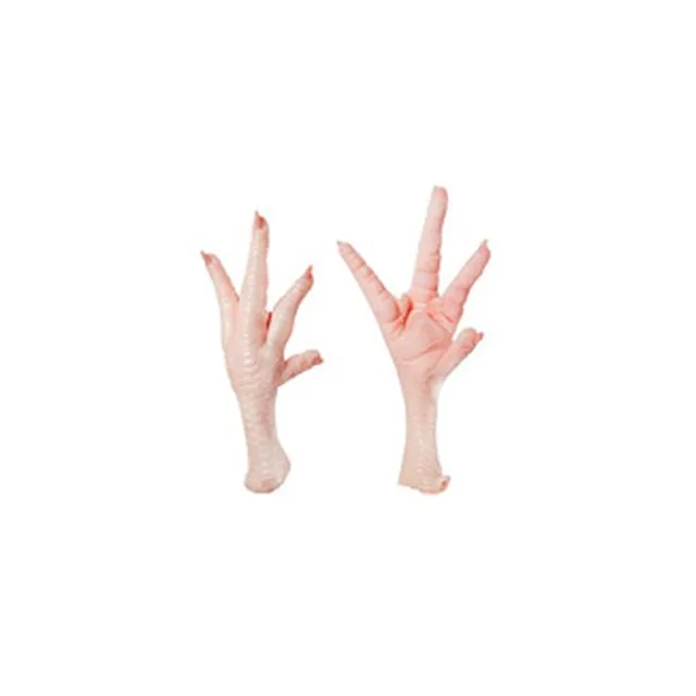 FROZEN CHICKEN FEET & PAWS / HALAL CERTIFIED CHICKEN / BREAST / DRUM STICK