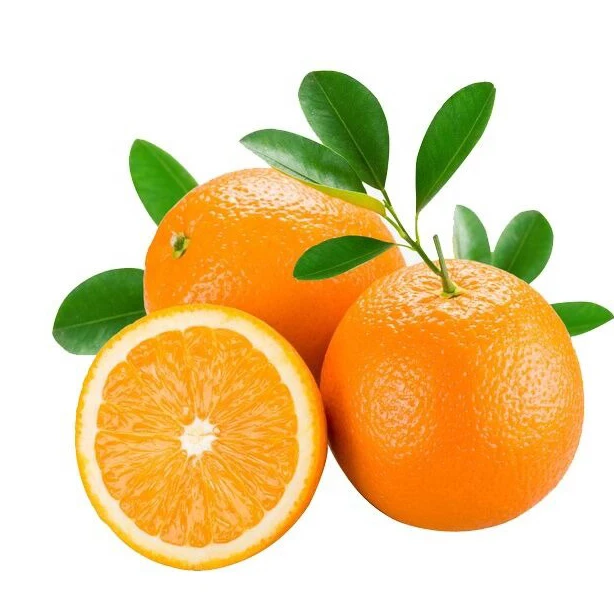 Highest grade sweet juicy fresh big fruit orange for sale Natural High Quality Sweet Fresh Citrus  Navel Orange