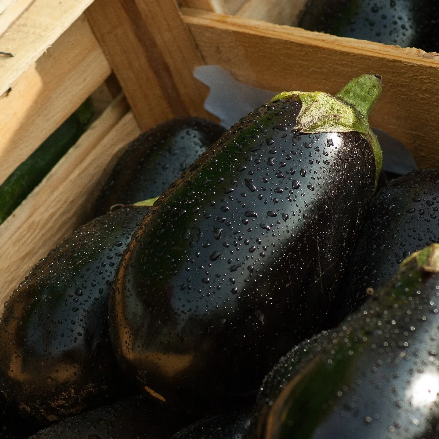 Best Quality Made in Italy Sicilian Caponata jar 170g ready to eat