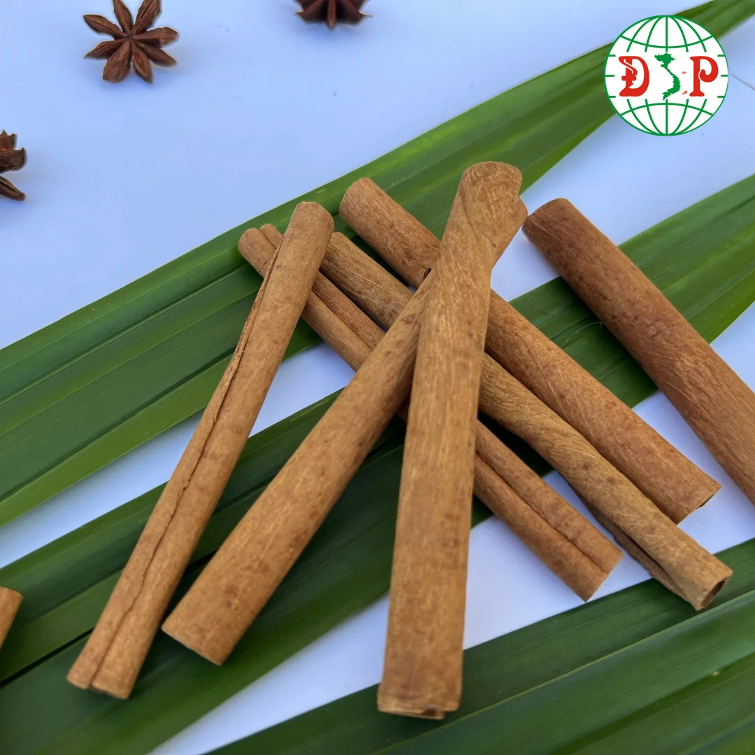 2024 Dried herbs Sticks Cinnamon Peeled Cinnamon Stick Cheap Price From Vietnam