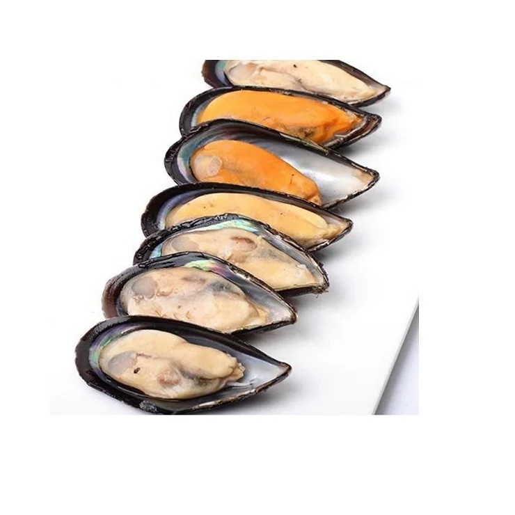 top Quality seafood shellfish frozen half shell mussel For sale