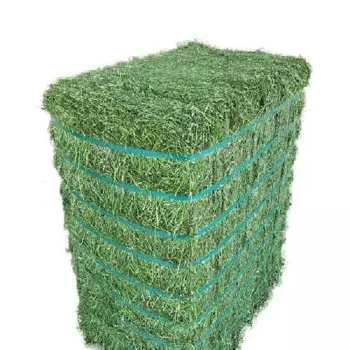 Organic Alfalfa Grass Hay/ Alfalfa Hay Pellets For Animal Feed For Sale