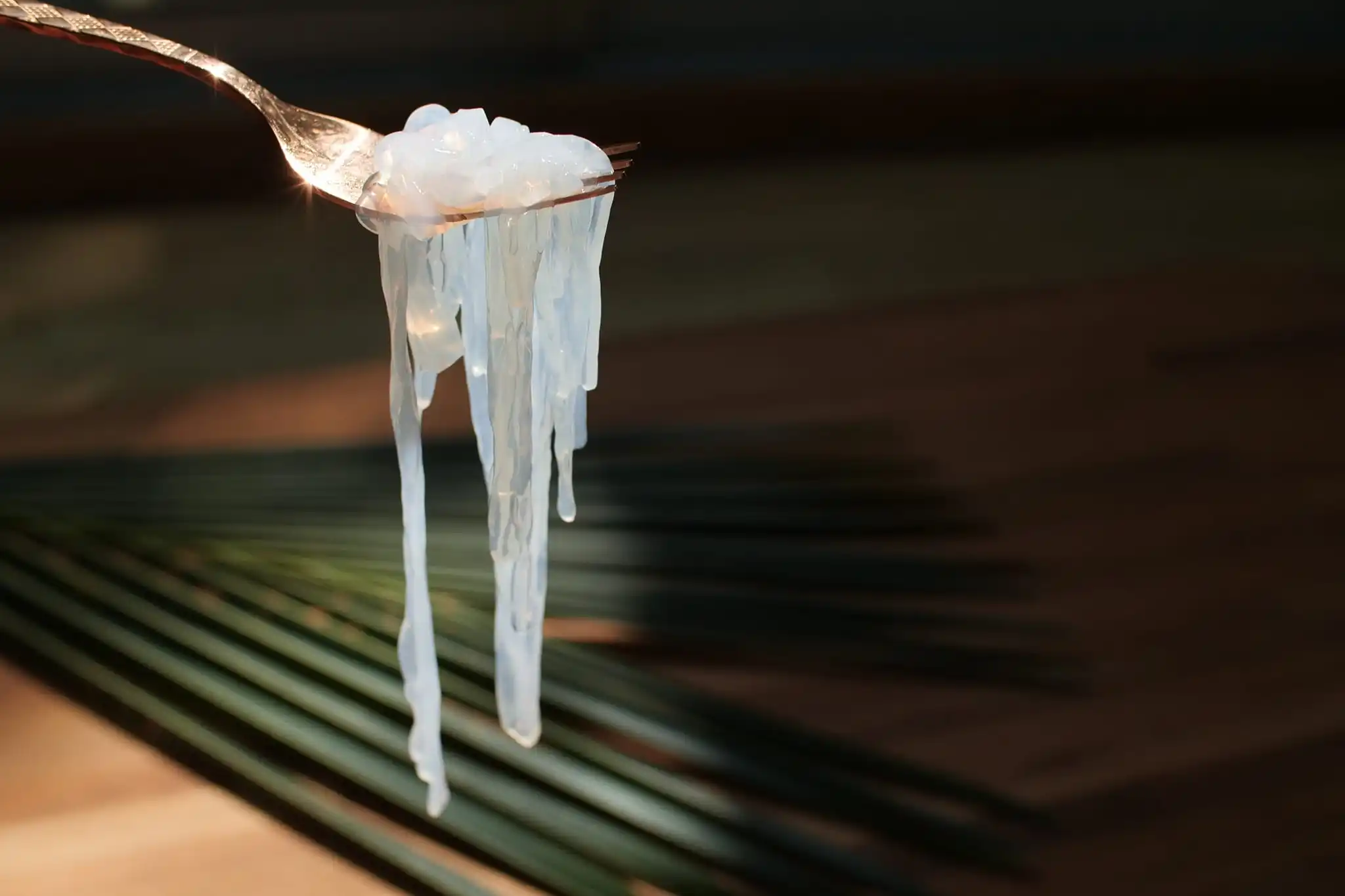 Coconut Water Noodle High in fiber Low Carb Very Low Calorie No sodium and Potassium Vegan Noodles Recipe