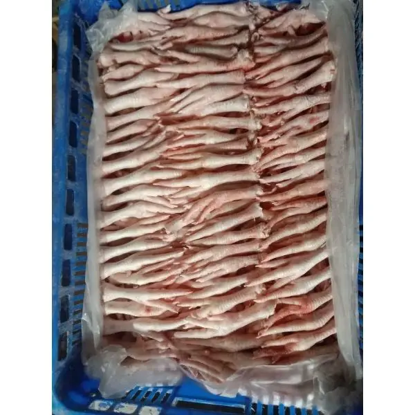 Bulk Chicken Feet Paw Ready For Importer