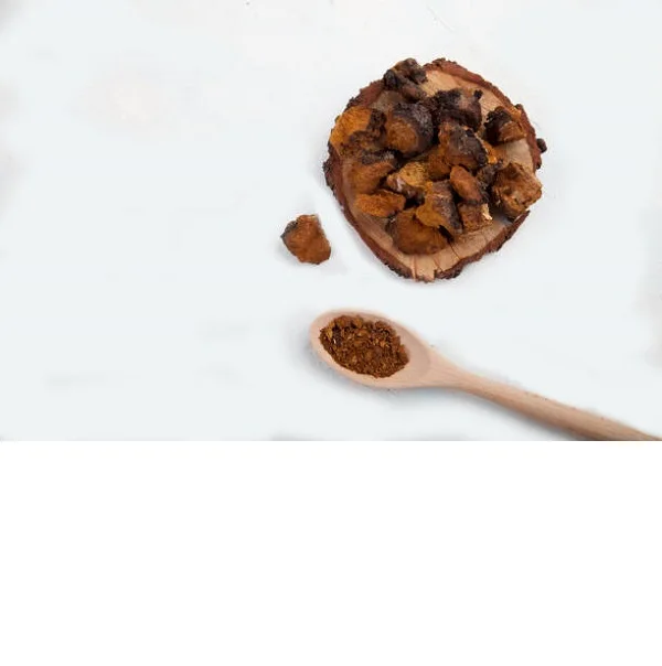 Chaga Mushroom Powder at Low Price