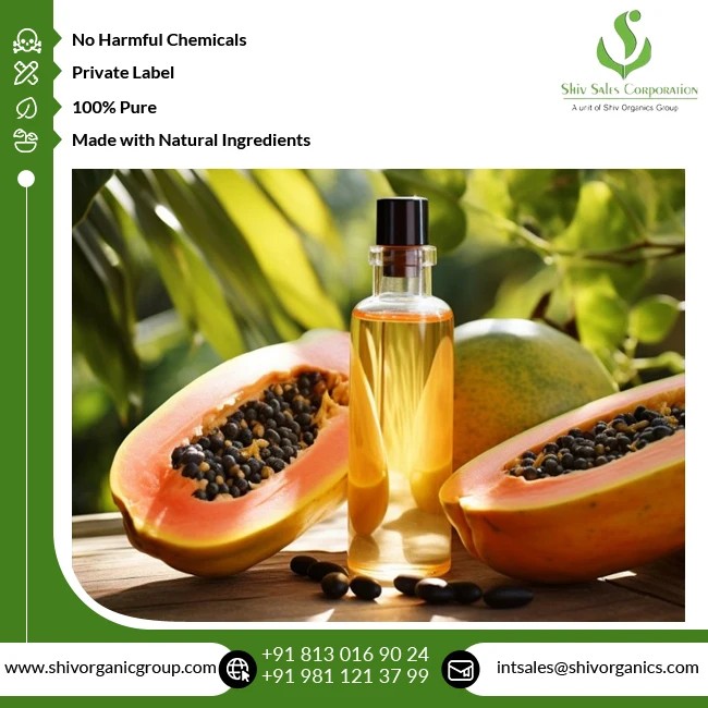 Factory Price Good Quality Wholesale Supply Best Selling 100% Pure and Natural Papaya Essential Oil for Cosmetic Industry