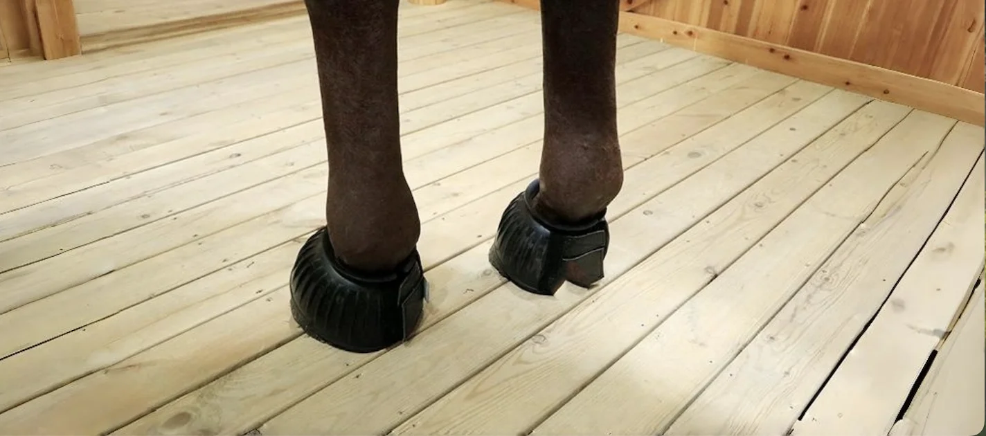 Horse Bell Boots Protect Against Hoof Impact Trauma Rubber Horses Care Boots Turnout No Rub Design Comfort Quick Wrap Hook Loops