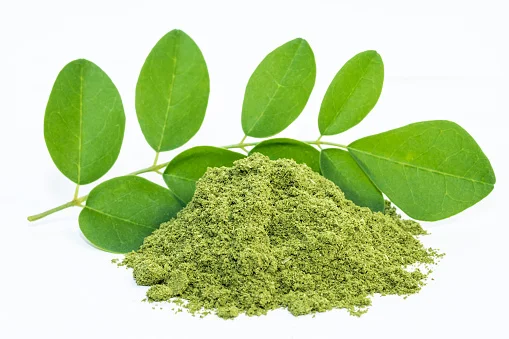 Top Grade Moringa Powder Wholesale 100% Natural Moringa Extract powder - New Crop Fresh Moringa