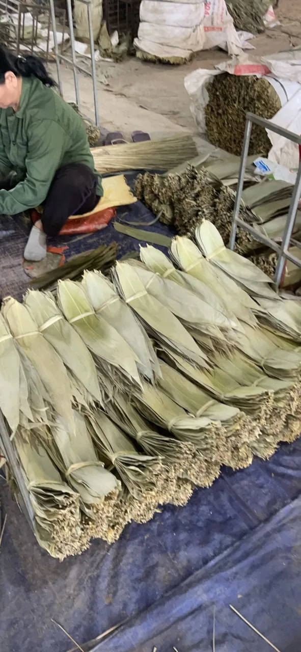 Wholesale Dried Zongzi Leaf Bamboo Leaf Bamboo Eco-friendly Material Big Size with Competitive Price in Vietnam