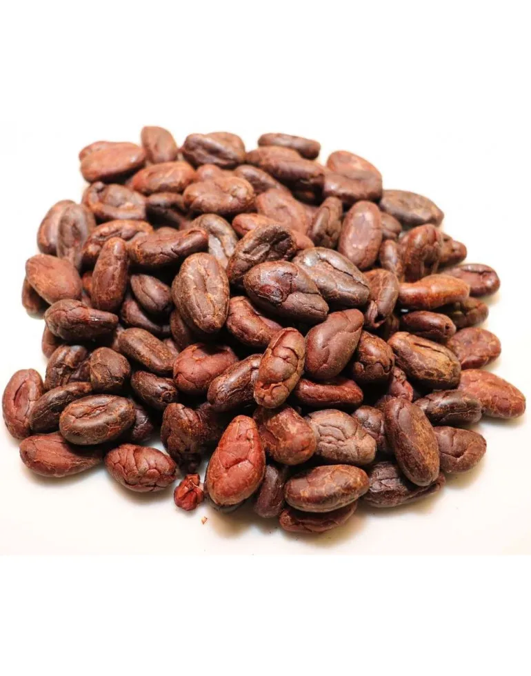 High grade Cocoa Beans - Cacao Beans - Chocolate beans available for wholesale