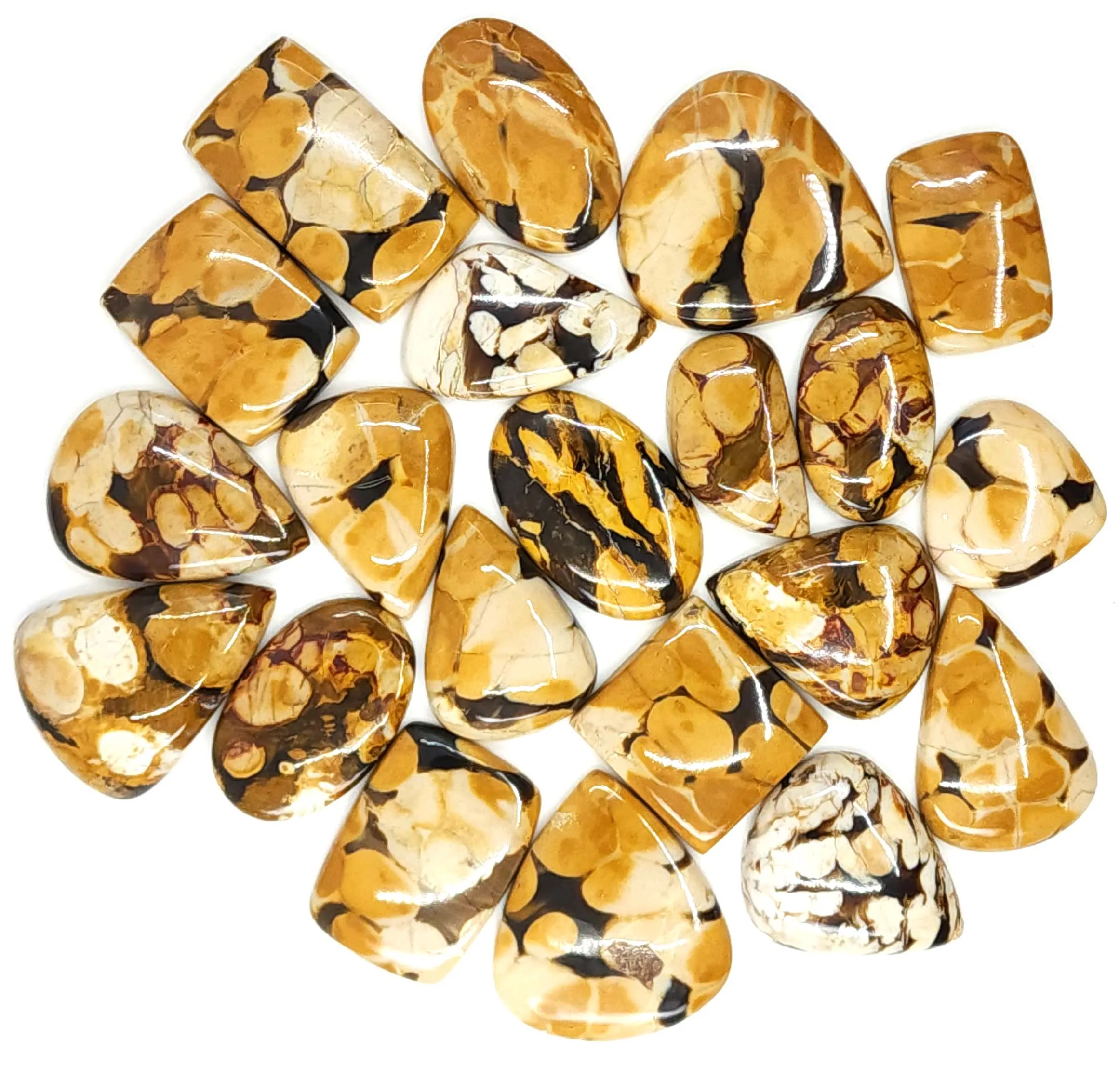 Natural Peanut Wood Jasper Wholesale Gemstone Lot Designer Petrified Peanut Wood Gemstone Pendant Necklace Jewelry Making Supply