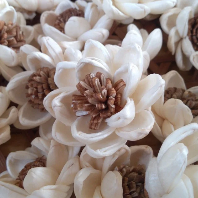 Chrysanthemum Sola Wood Flowers Artificial Dried Wholesale Handicraft Home Decor Decoration Thailand Reed Diffuser