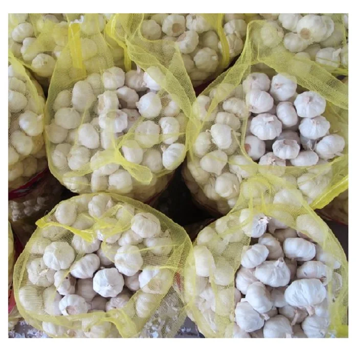 Wholesale white garlic fresh garlic with good price