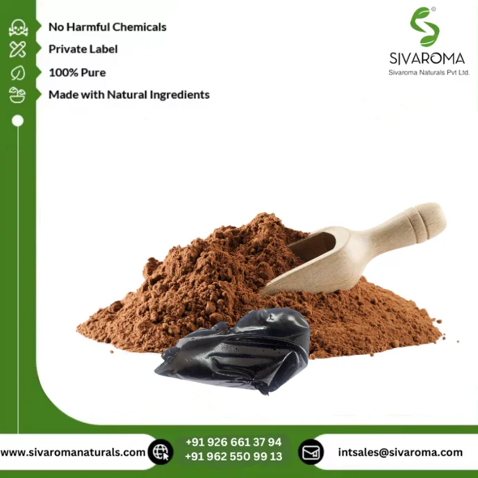 Hot Selling Shilajit Extract Powder Pure Natural Herbal Water Soluble Solvent Extracted Health Energy Supply from Manufacturer