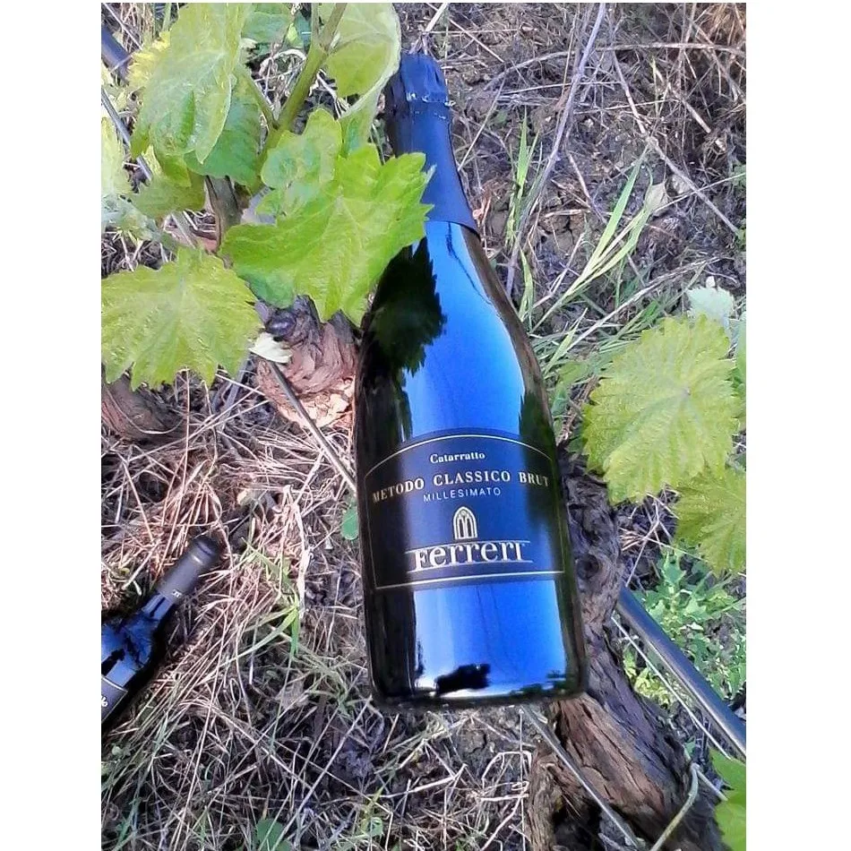 Exclusive Italian Sparkling FERRERI Wine for Restaurants Wine shops  White Grapes of Catarratto Extra Lucido 750 ml