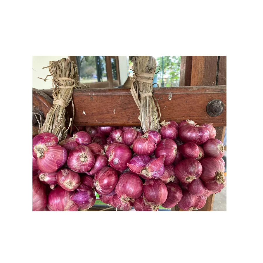 Thai Bawang Merah Thai Vegetable Fresh Red Shallot +66934602728 Onion Mesh Bag Good Grade Ready to Export from Thailand
