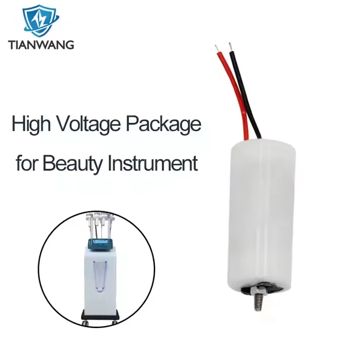 Customizable High-Frequency Module for Electronic Therapy Device Beauty Air Purifier with Ozone Generator Parts