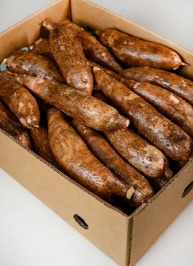 Costa-Rica-Cassava-855628