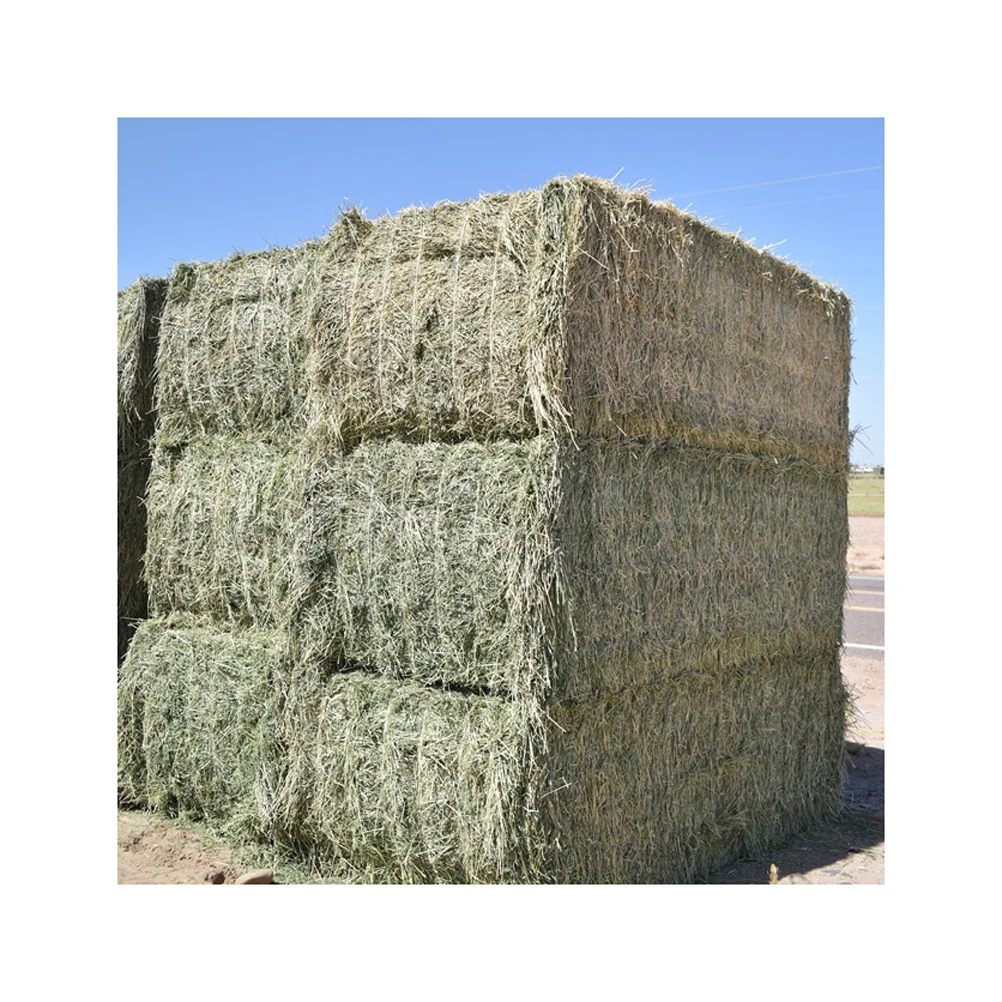 ALFAFA HAY IN BALES, TIMOTHY HAY, AND ALFAFA HAY PELLETS FOR SALE LUCERNE ALFALFA HAYS FOR ANIMAL FEEDING