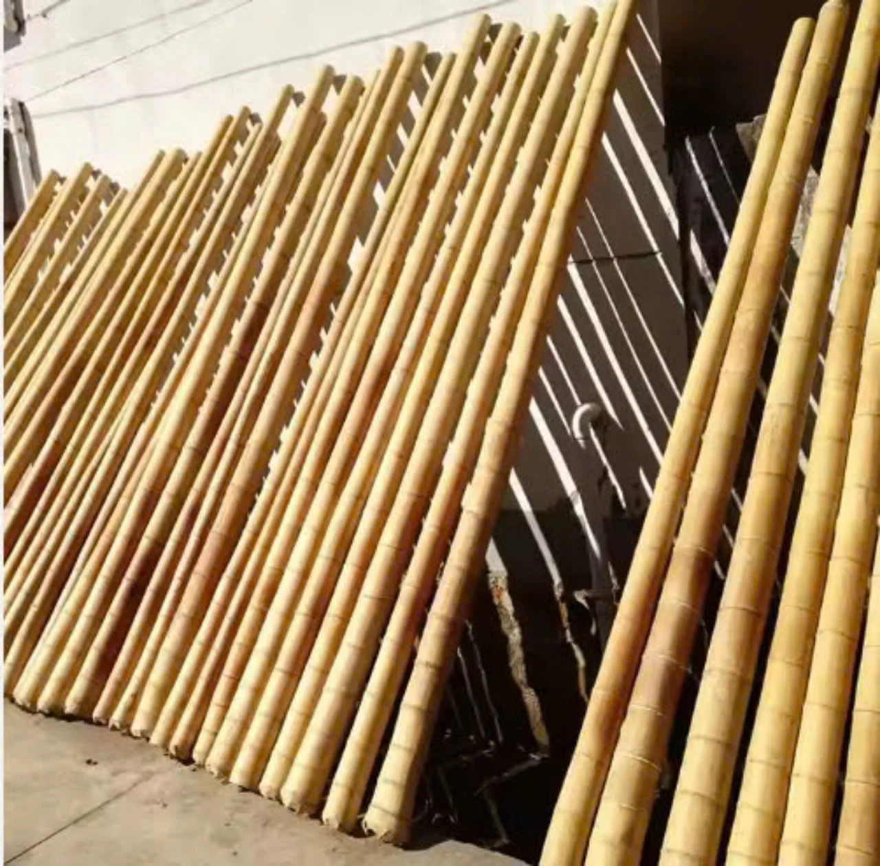 Best Choice Strong Factory Natural Bamboo Poles Straight for Construction For Cheap Price Natural Straight Bamboo Pole