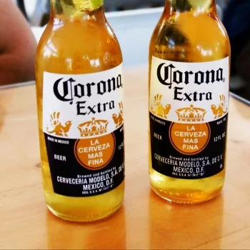 4.5% Alcohol CoronaBeer Wholesale / CoronaExtra Beer 355ML Mexican Origin