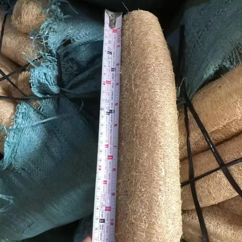 Bathing Size Removing Low MOQ Loofah Back Scrubber Eco Friendly Product OEM Support Smell Body Loofah Customize In Vietnam