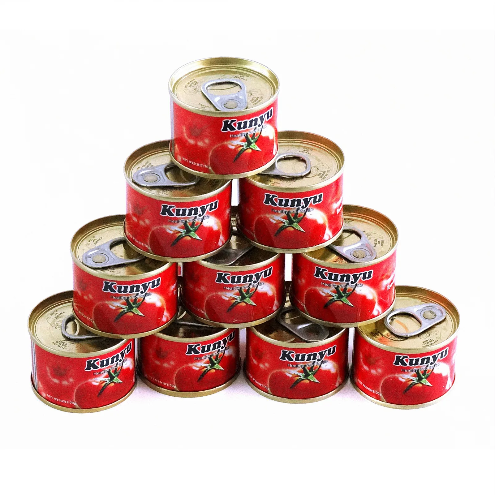Double Concentrated Tomato Paste 28-30% Canned or Sachet Tomato Paste