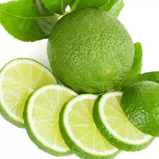 Wholesale organic Vietnamese Fresh Citrus Fruit Seedless Fresh Lemon / lime For Export