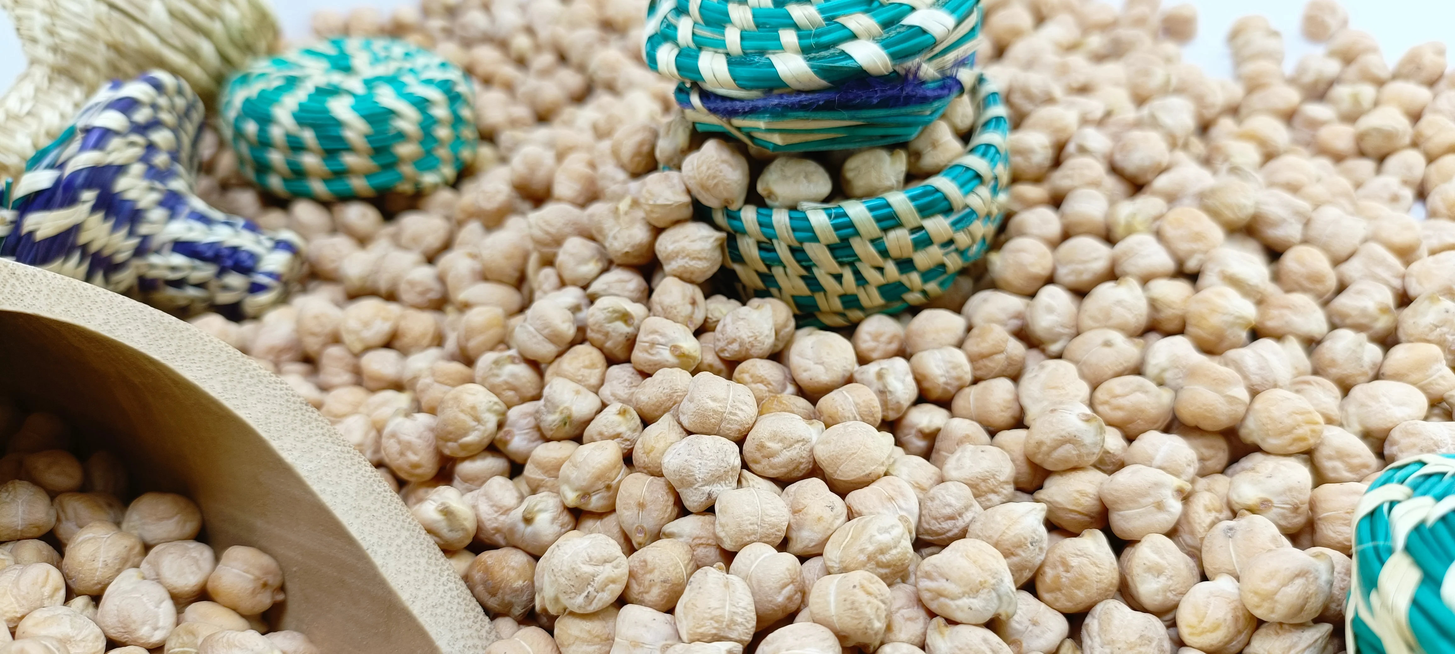 Kabuli Chickpea DP-52