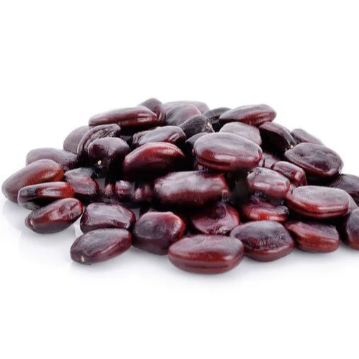 Best Quality Tamarind Seed,Tamarind Seeds Thailand, Tamarind Seed Powder Ready To Export From Thailand