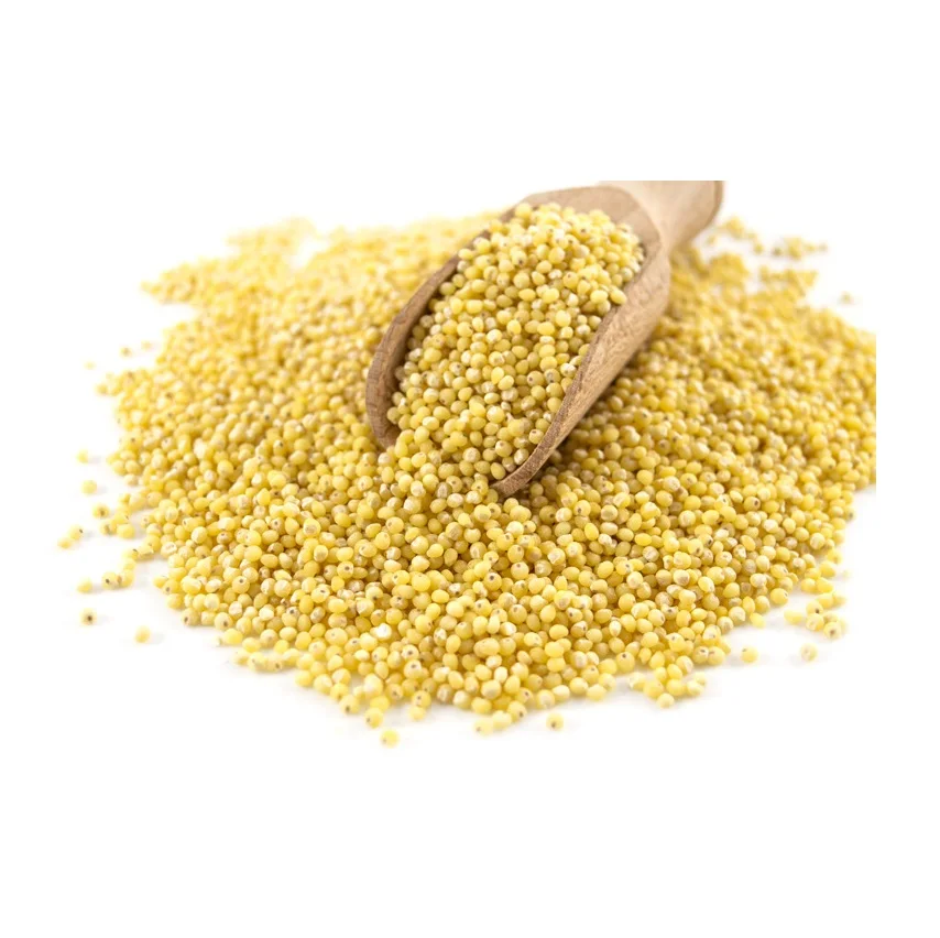 Wholesale cheap price 100% organic hulled yellow millet